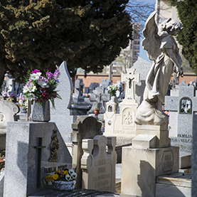 Cementerio Municipal de Canillas