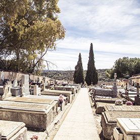 Cementerio Municipal Cristo del Pardo