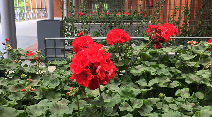 Tanatorio Sur altar - Servicios funerarios EMSFCM Madrid