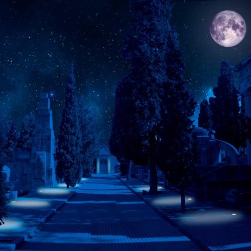 Visitas nocturnas Cementerio Civil Servicios Funerarios de Madrid
