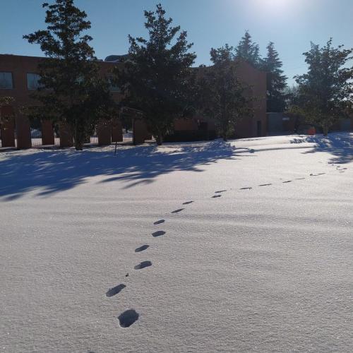 Cementerio Sur Filomena